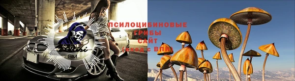 не бодяженный Алзамай